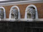 Elephant Heads Close